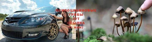 молекула духа Куйбышев