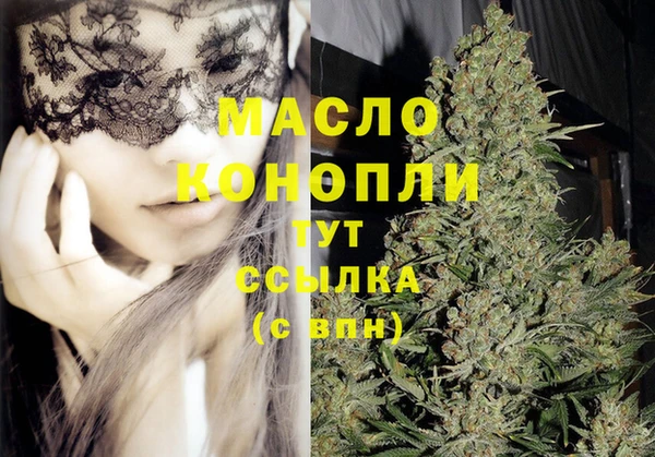 стафф Кодинск