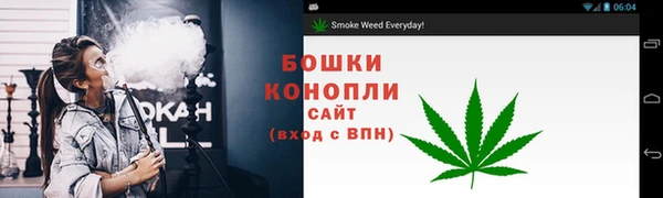 прущие грибы Кукмор