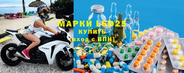 прущие грибы Кукмор