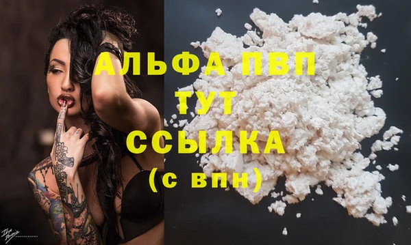 прущие грибы Кукмор