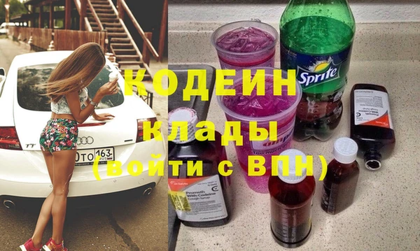 прущие грибы Кукмор