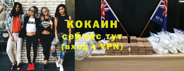 прущие грибы Кукмор